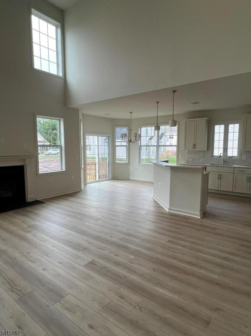 Family Room/Kitchen
