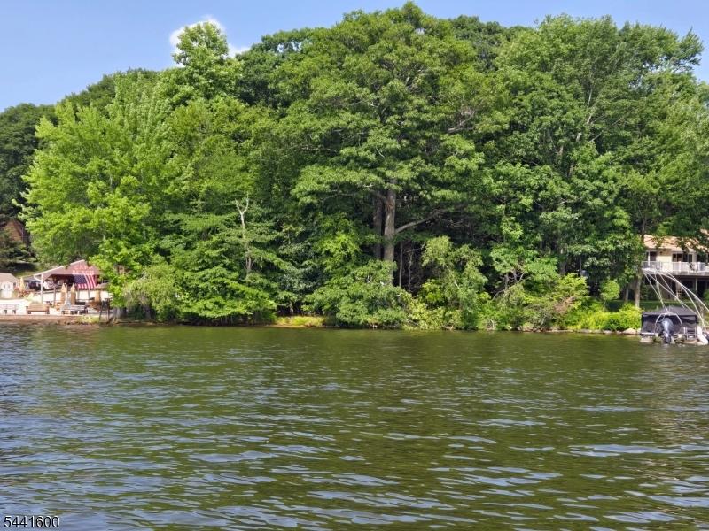 Wooded Lakefront
