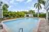 Lush Tropical Landscaping
