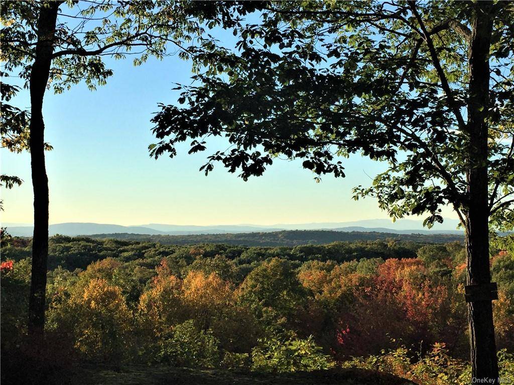 62 acre estate land with stunning Catskill Mountain view awaits nestled amidst the serene beauty of the Hudson Valley !