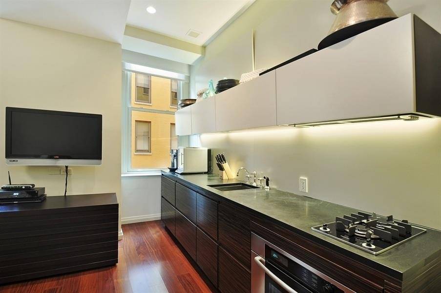 Furnished 539 SF studio in an amenity filled building located in the heart of Financial District.