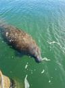 Daily Dose of Happiness