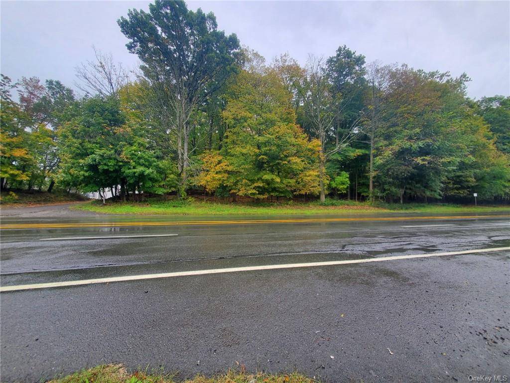 Rare find almost of acre of prime commercial property located on Route 303 in Blauvelt NY, very busy road with thousands of cars a day.
