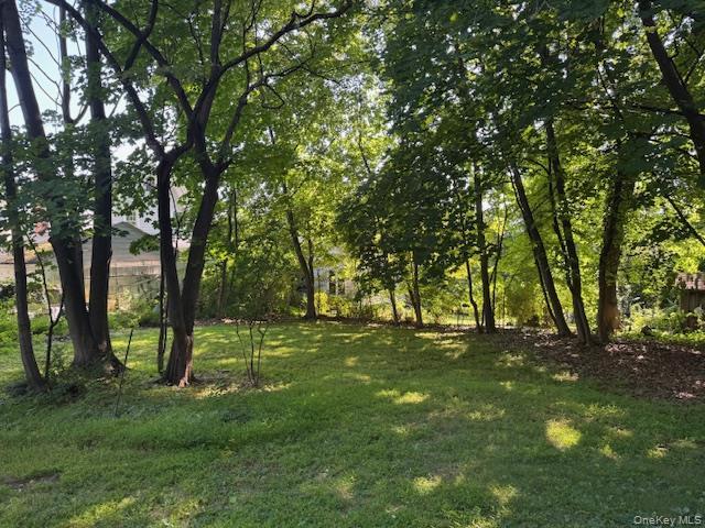 Expansive grassy area in rear yard surrounded by mature trees.