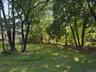 Expansive grassy area in rear yard surrounded by mature trees.