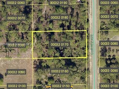 Look at this beautiful half acre lot located in a rapidly appreciating and growing area of Lehigh Acres.