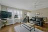 Sunny Living Room