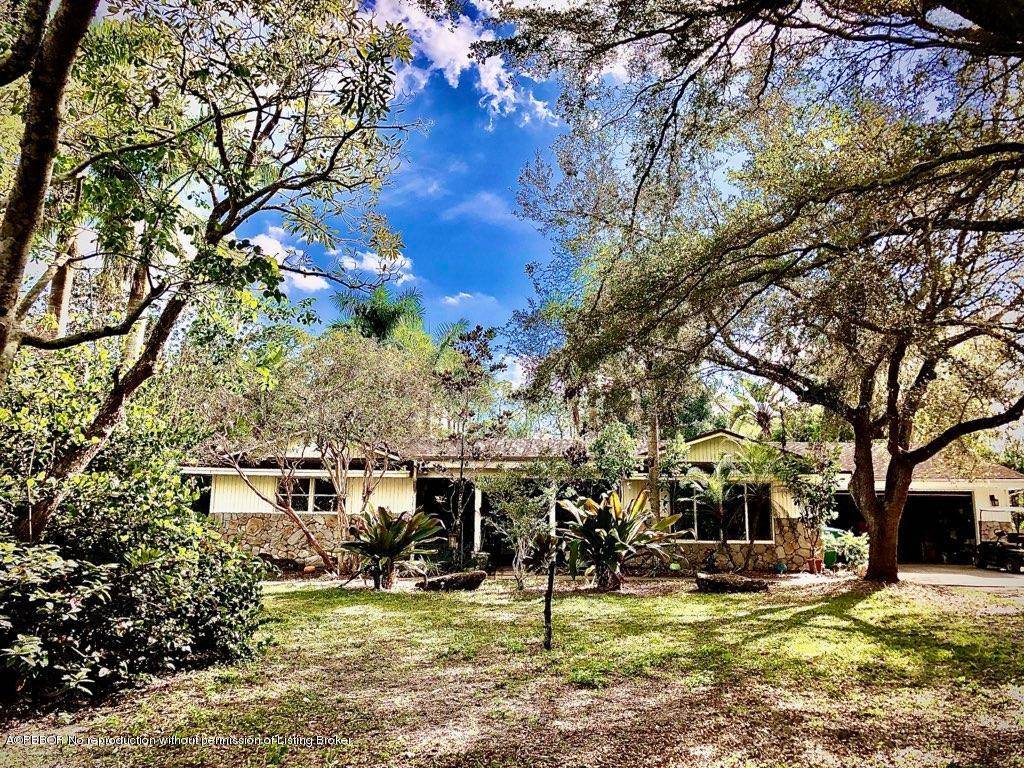 Great country living on this 5 acre horse palm tree farm !