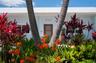 Tropical landscaping with lots of color all around
