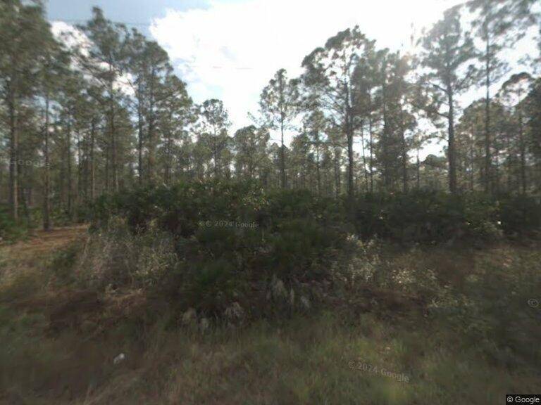 Beautiful 2. 5 raw acres located in Clewiston Pioneer Plantation.