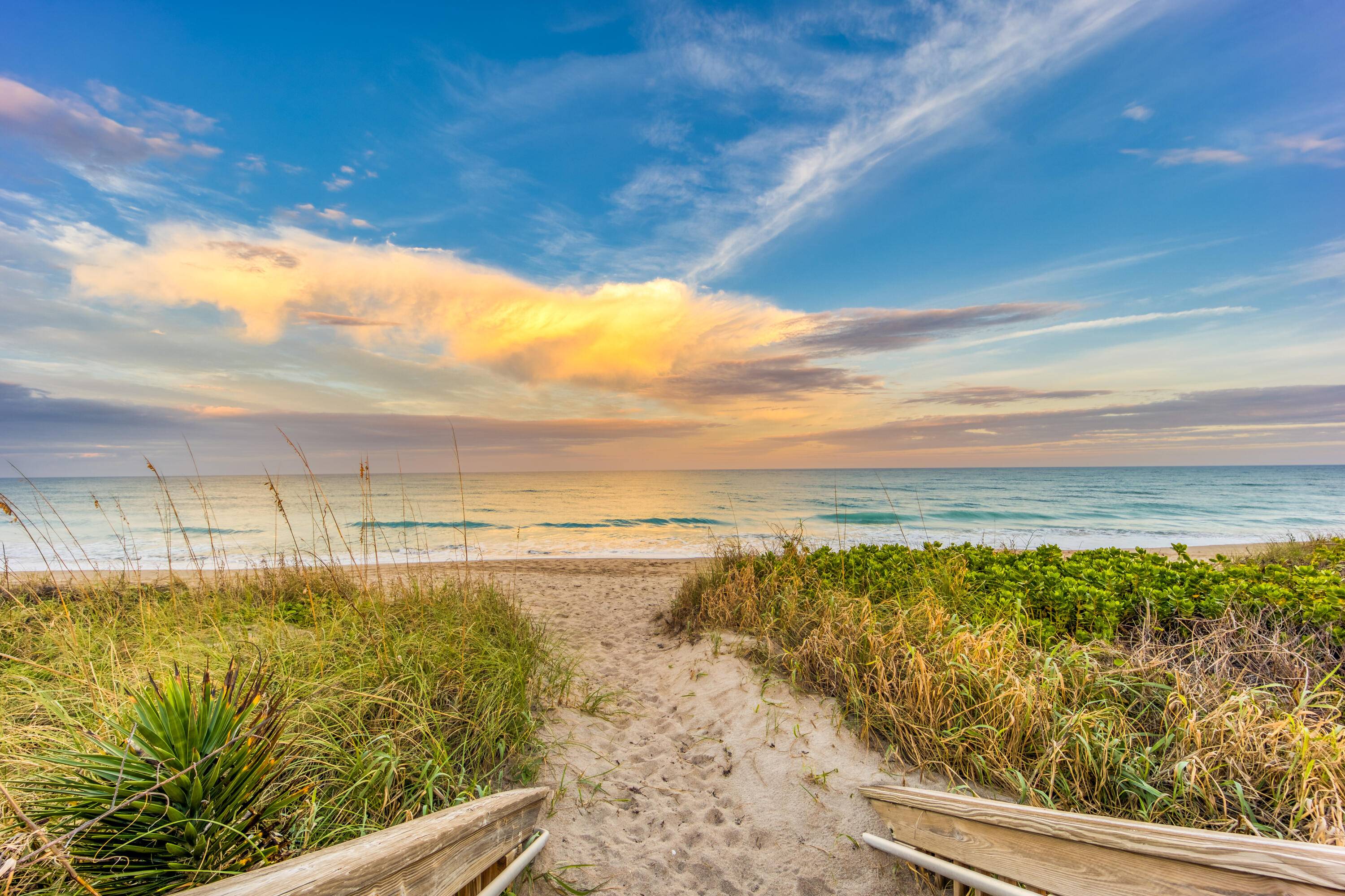Come experience everything Hutchinson Island has to offer !