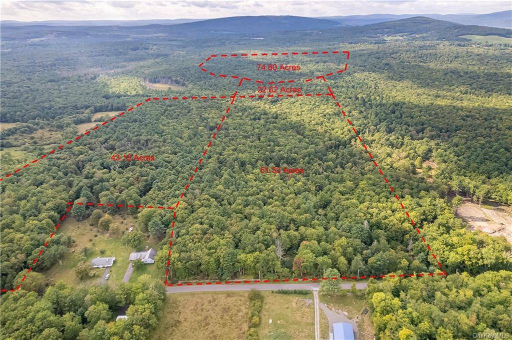 Privacy and seclusion on this vast 191 acres of forested land comprised of 4 surveyed lots within a 10 minute drive to Rondout reservoir and 1000 of acres of state ...