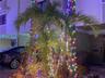 Village of Paradise Island Holidays