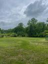 Field