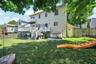 Backyard Fun!