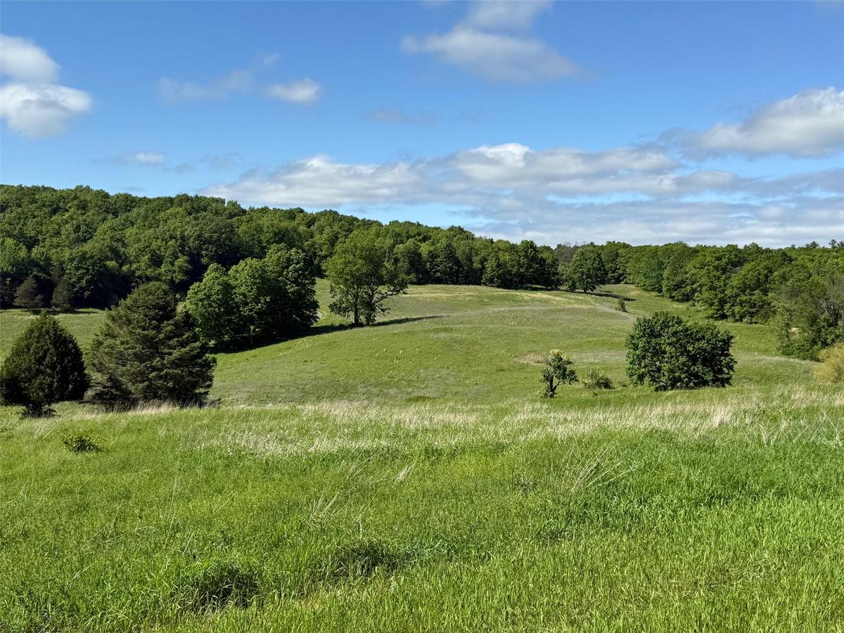 View of nature