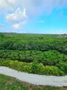 View of Bird Sanctuary and Nature Preserve