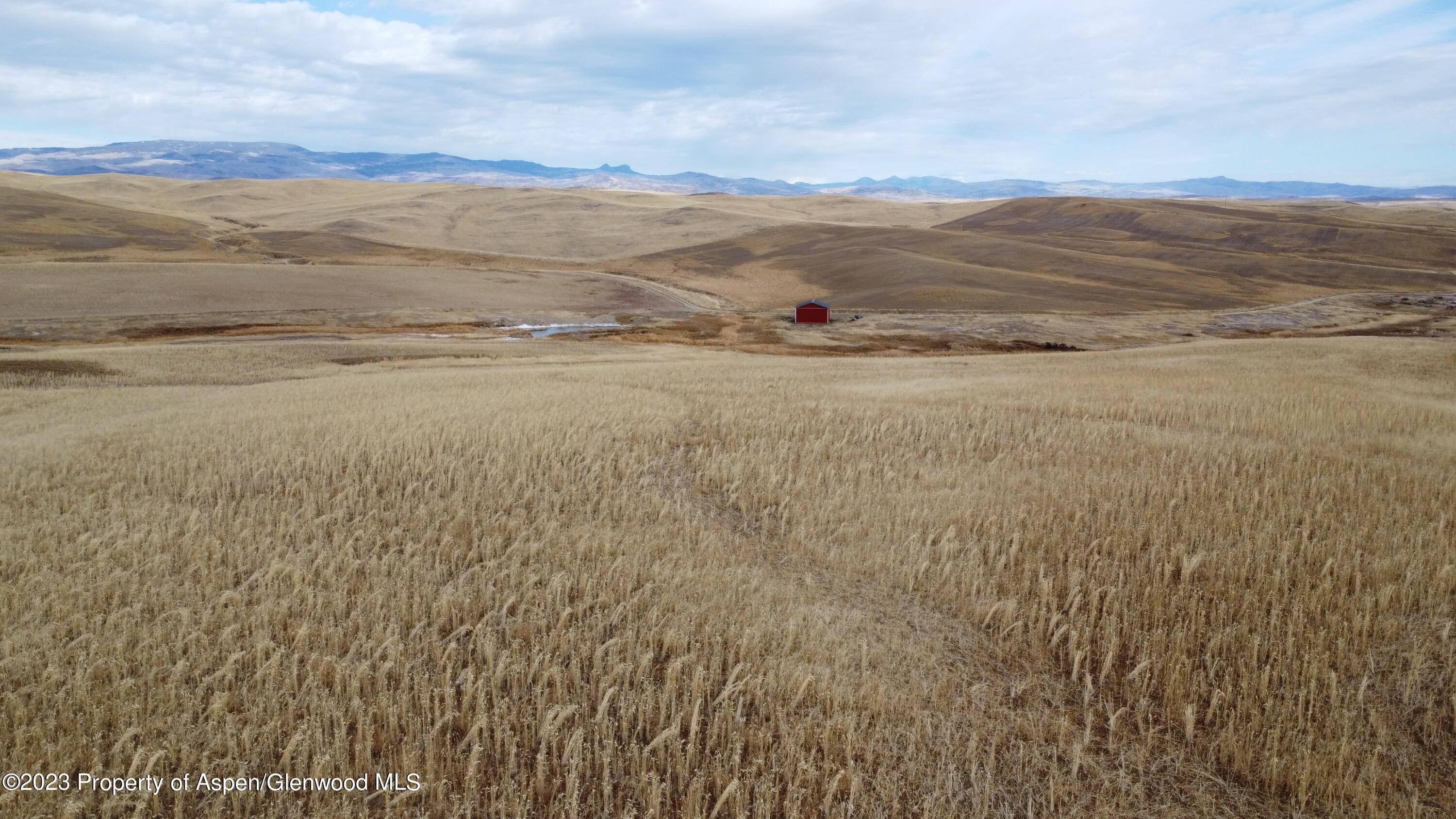Located just north of Craig off County Road 103, Golden Hills Ranch consists of approximately 393 acres of rolling drylands that have been planted with a variety of crops over ...