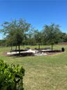Community Picnic Area