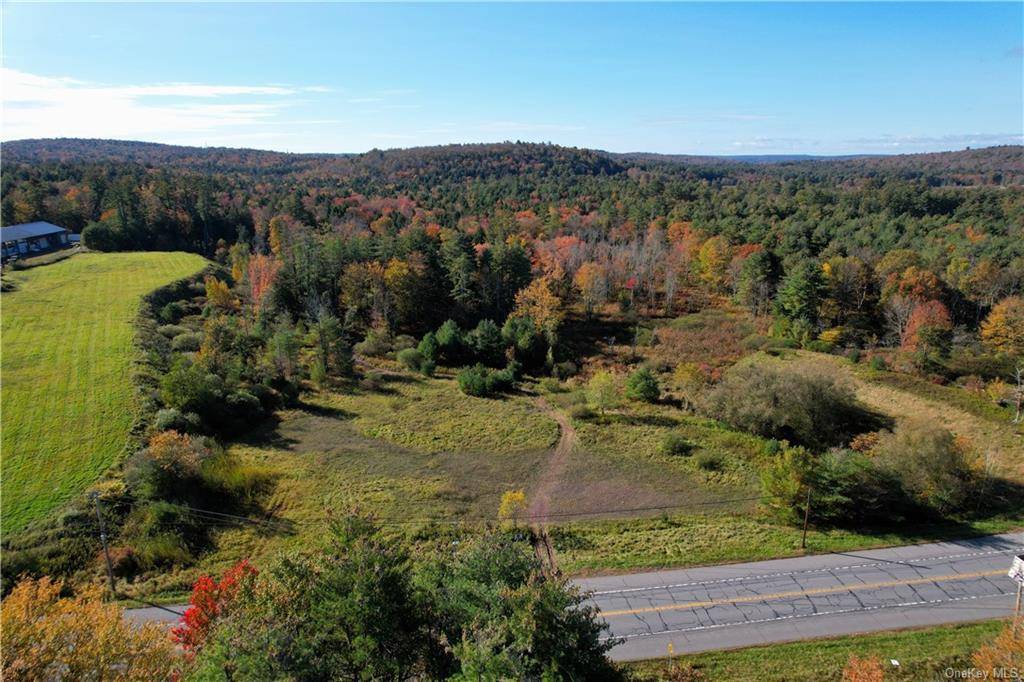 Very desirable and fairly level land with high visibility on busy NYS Route 17B.