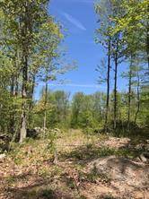 Build your dream home in the woods on this almost 3 acre corner lot !