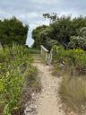 Beach Walkway