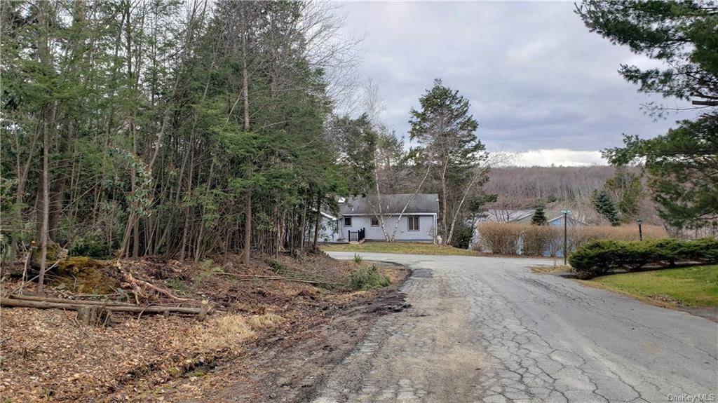 Rare find ! Building lot with the lake view and town water and sewer and underwound electric.
