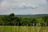 Looking toward the mountains, photo taken from ground level at the potential house site