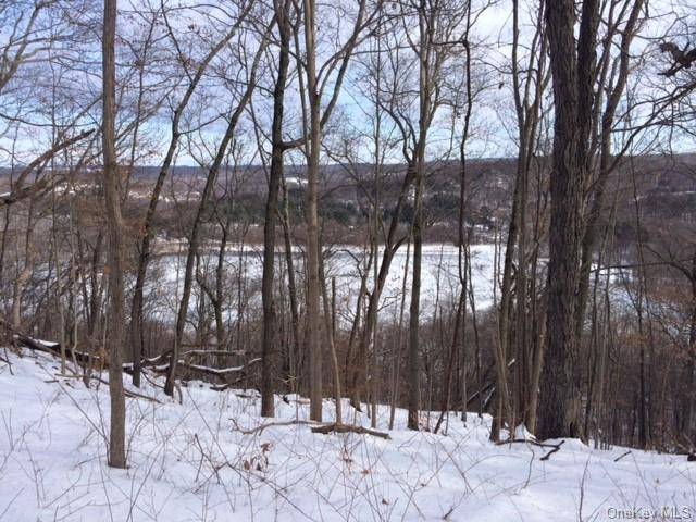 Beautiful future home site in a lovely, bucolic setting near the Croton Falls Reservoir.