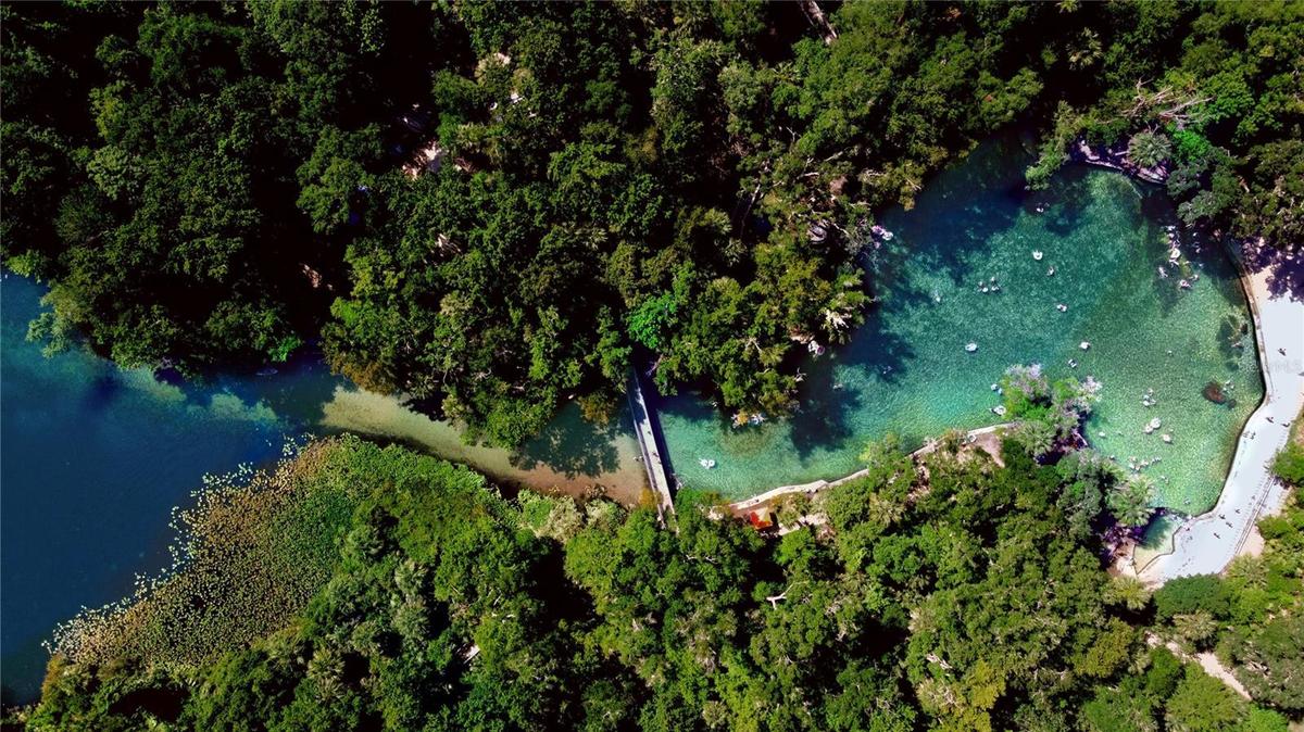 Wekiwa Springs State Park adjacent