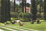 Four Seasons Resort Orlando Amenities: Fitness Center: The state-of-the-art fitness center offers cardiovascular and weight training through an array