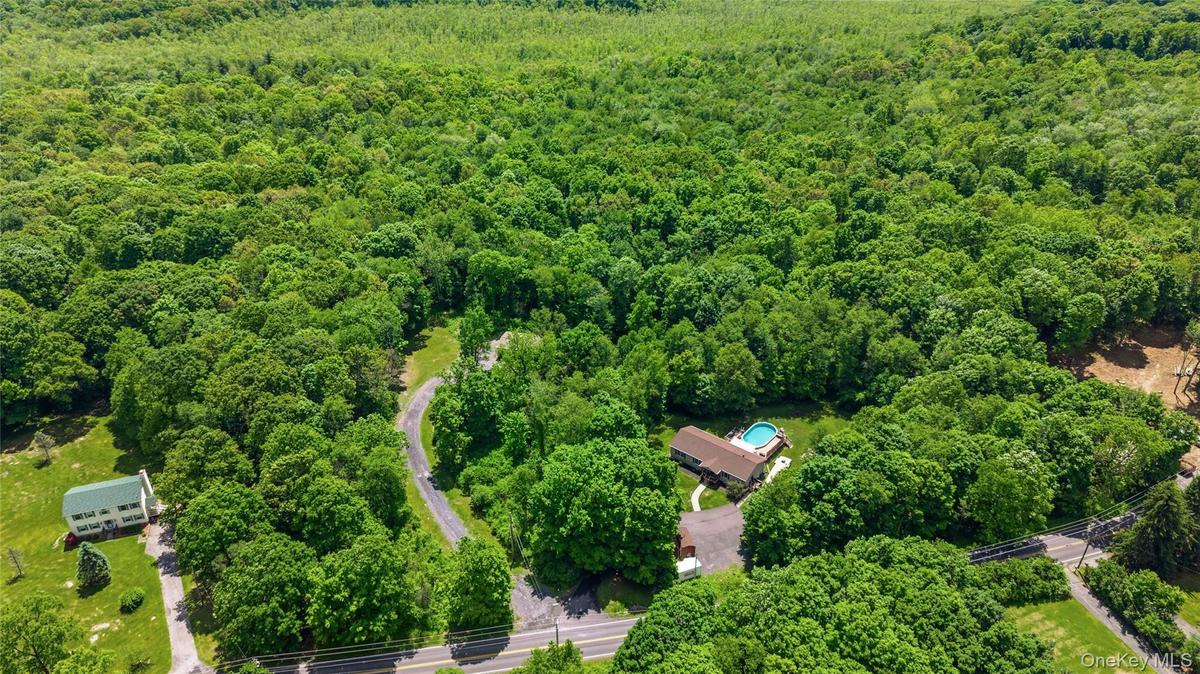 Expansive wooded acreage featuring a main residence with an in-ground swimming pool, a secondary structure with a green metal roof, a paved driveway,