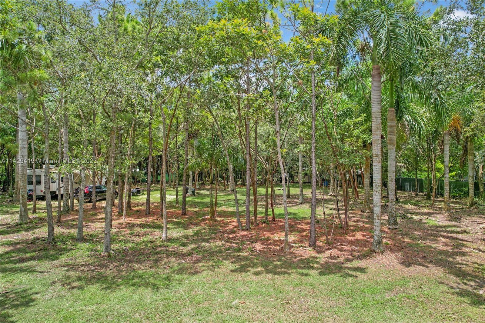 PRISTINE BUILDERS ACRE.. LOADED W MAHOGANY'S AND PALMS PLUS.