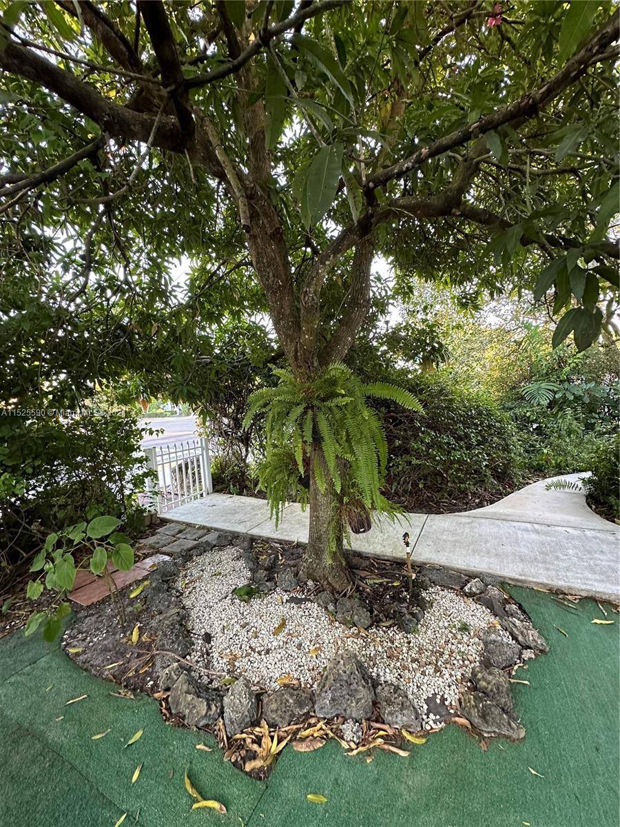 An as is wonderful Bohemian style Buena Vibra house is currently available for purchase in the prime area of Miami Shores.