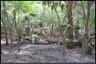 Hunting Stand