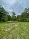 Open and Wooded