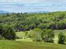 Mountain view with a heavily wooded area