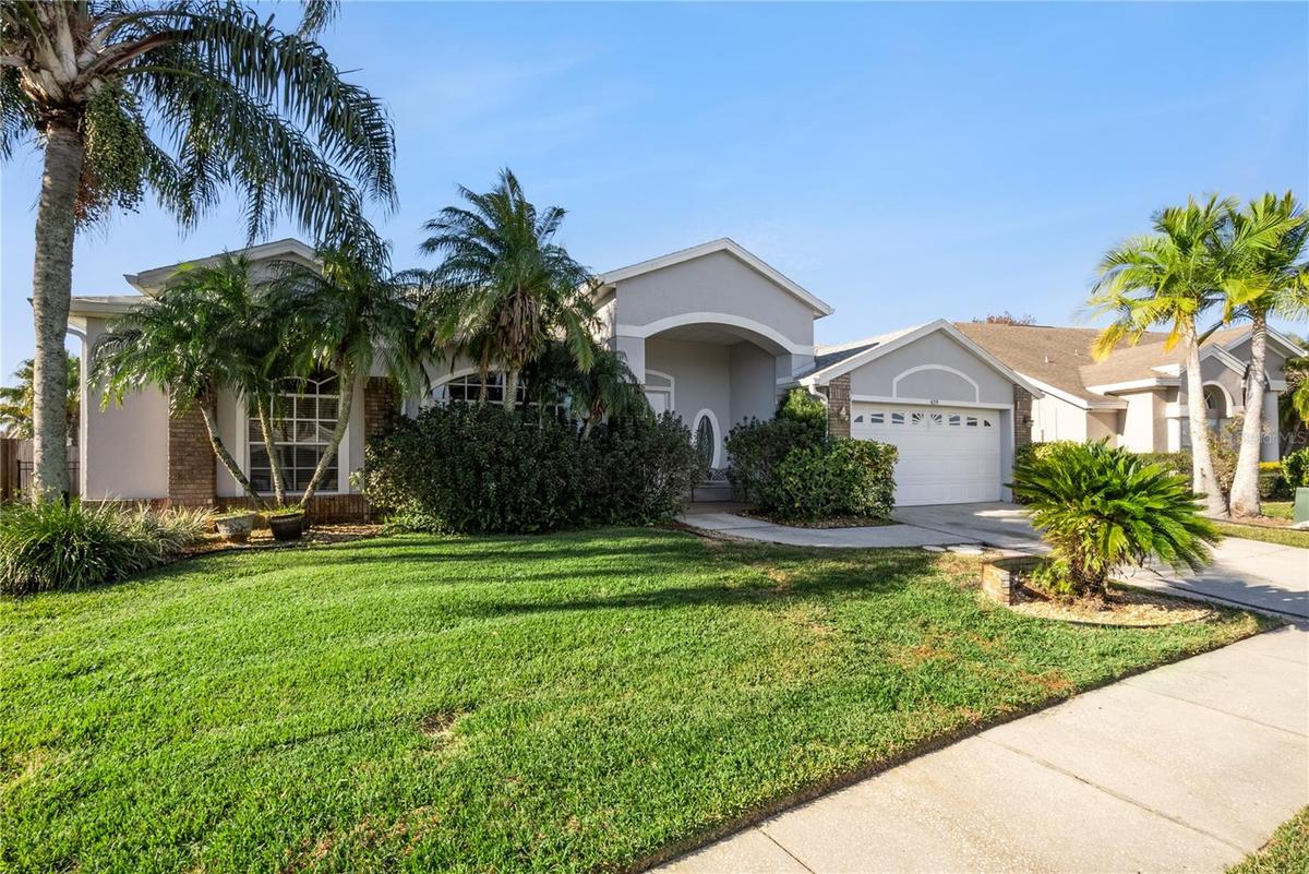 Beautiful landscaping with majestic palms!