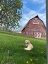 View of home's exterior with a barn