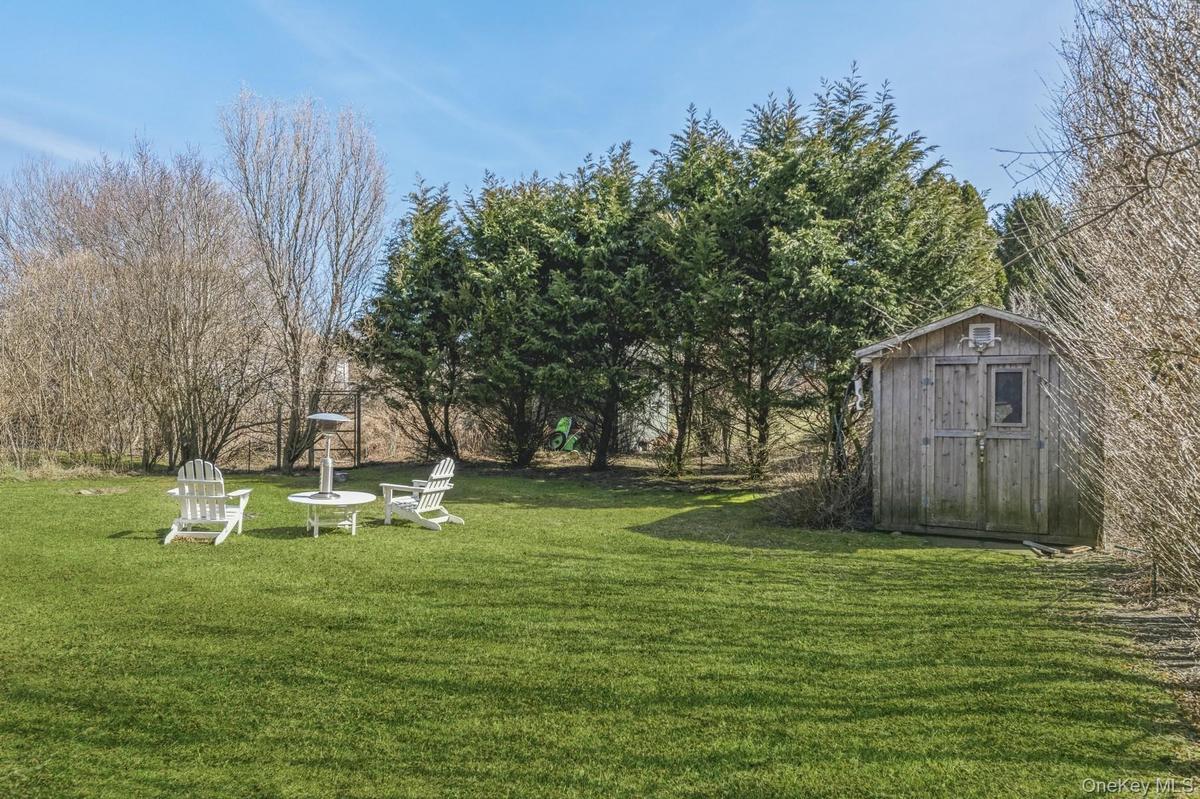 View of green lawn