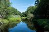 Forever Creek View