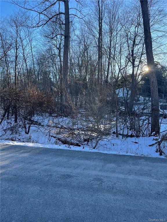 A great possibility to build your home with an ideal location, situated near Mohegan Lake.