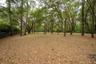Gorgeous property with Oak trees galore!