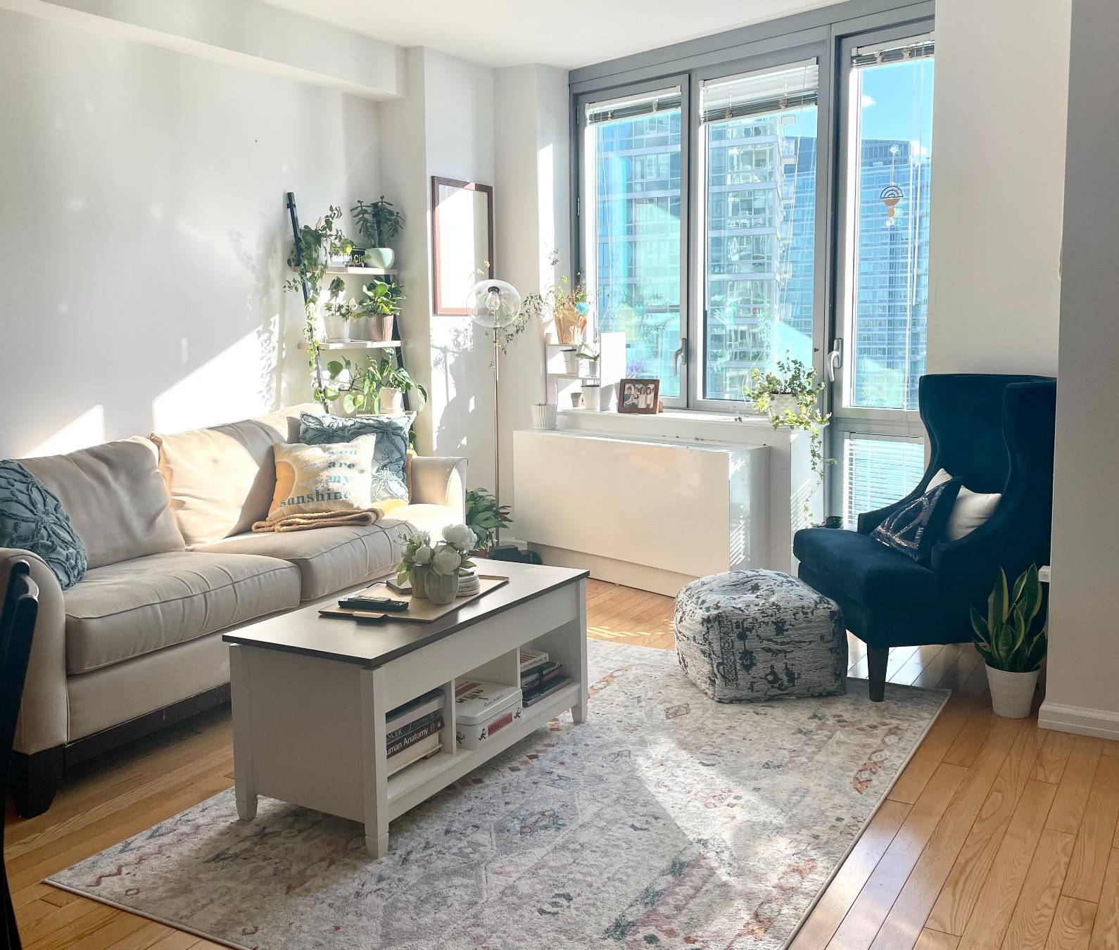 Gorgeous Below market ! south facing 1 bedroom in Long Island City, floor laundry room is directly across from apartment, there are no apartments on either side ensures a very ...
