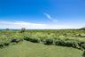 yard overlooking preserve