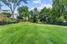 Spacious Backyard