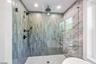 Primary bath shower