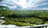 View of Nature Preserve from Balcony
