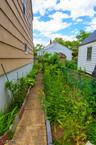Side yd lined w/Flowers