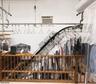 Dry Cleaning